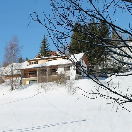 Apartment Black Forest Apartements By Grüner Baum Feldberg (Baden-Wurttemberg)