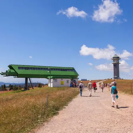 公寓 Black Forest Apartements By Gruener Baum 费尔德伯格