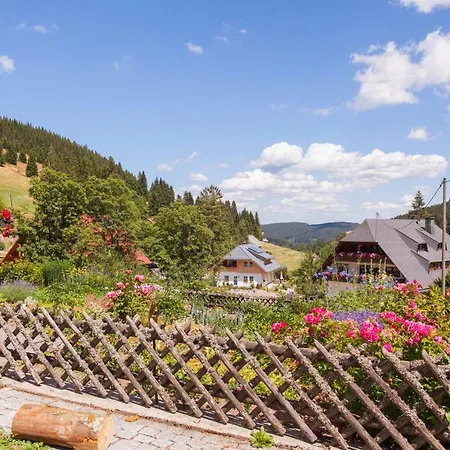 Black Forest Apartements By Grüner Baum * Feldberg (Baden-Wurttemberg)