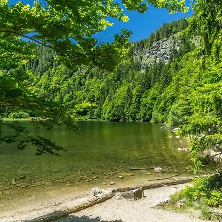 Bergzauber Schwarzwald-appartements Eiche Διαμέρισμα