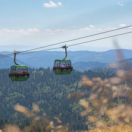 Διαμέρισμα Bergzauber Schwarzwald-appartements Eiche *