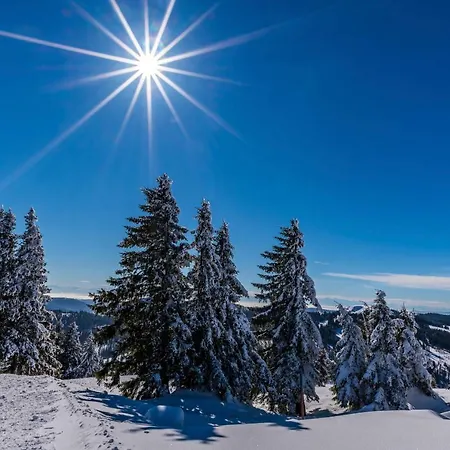 Bergzauber Schwarzwald-appartements Eiche Feldberg (Baden-Wurttemberg)