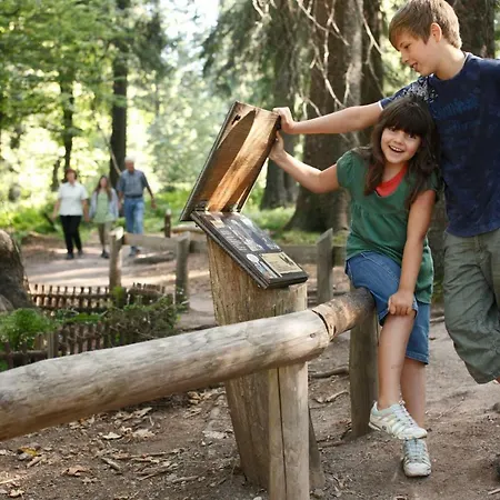 Black Forest Apartements By Grüner Baum Apartment *