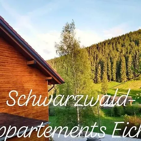 Apartment Black Forest Apartements By Gruener Baum Feldberg