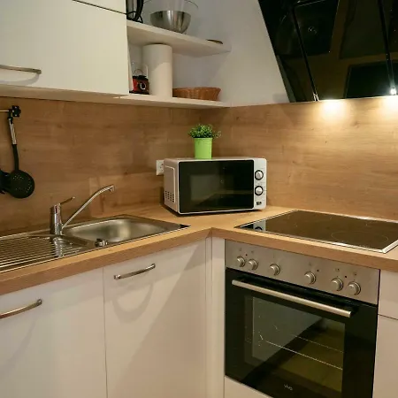 Appartement Black Forest Apartements By Gruener Baum Feldberg (Baden-Wurttemberg)