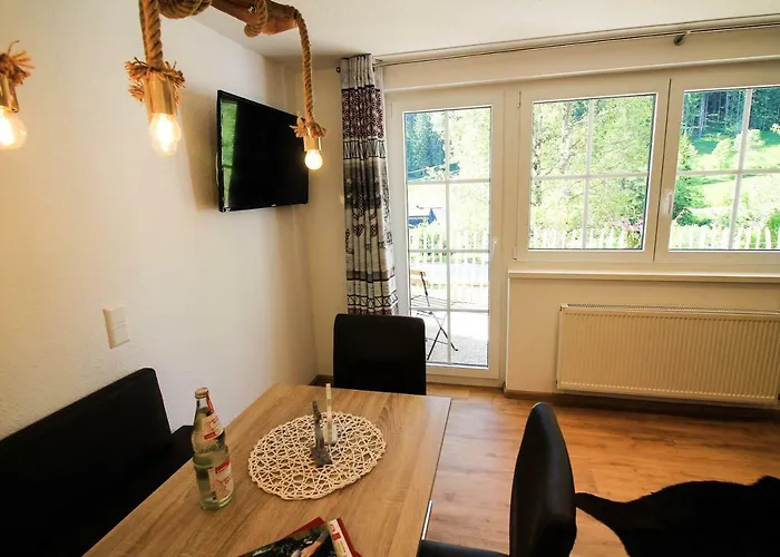 Black Forest Apartements By Gruener Baum 费尔德伯格