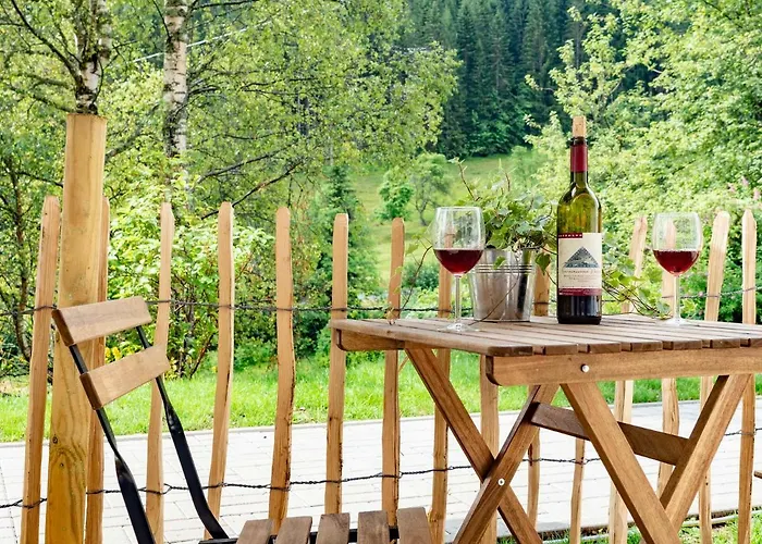 公寓 Black Forest Apartements By Gruener Baum *