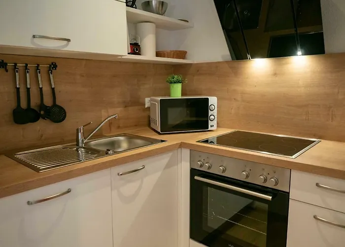 公寓 Black Forest Apartements By Gruener Baum 费尔德伯格