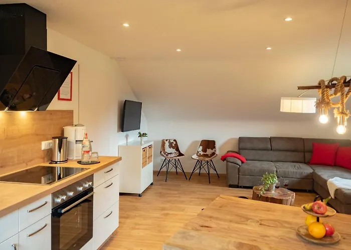 Black Forest Apartements By Gruener Baum 费尔德伯格